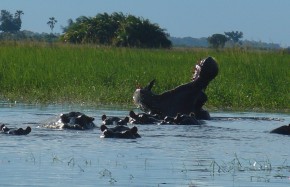 Afrique et océan indien