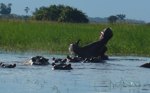 Afrique et océan indien