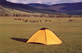 Campement vallée de l'Orkhon