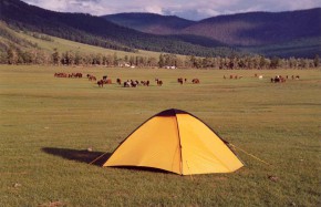 Campement vallée de l'Orkhon