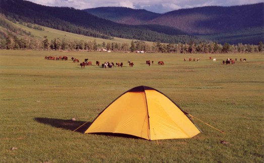 Campement vallée de l'Orkhon