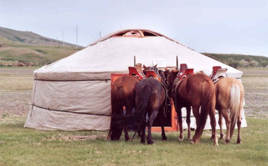 Fête du Naadam Karakorum