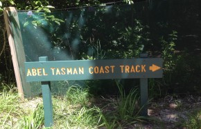 Abel Tasman Park