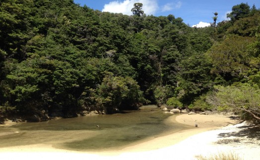 Abel Tasman Park