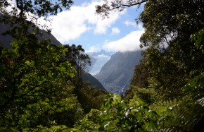 Fox Glacier West Coast