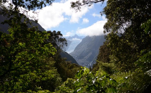 Fox Glacier West Coast