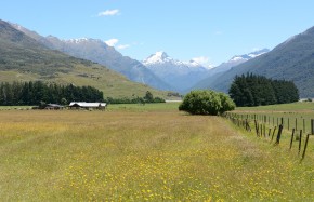 Route vers lac Wanaka