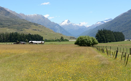 Route vers lac Wanaka