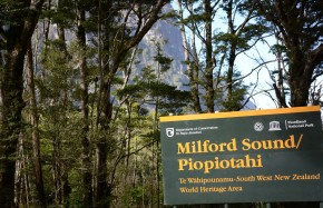 Route vers Milford Sound