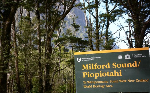 Route vers Milford Sound