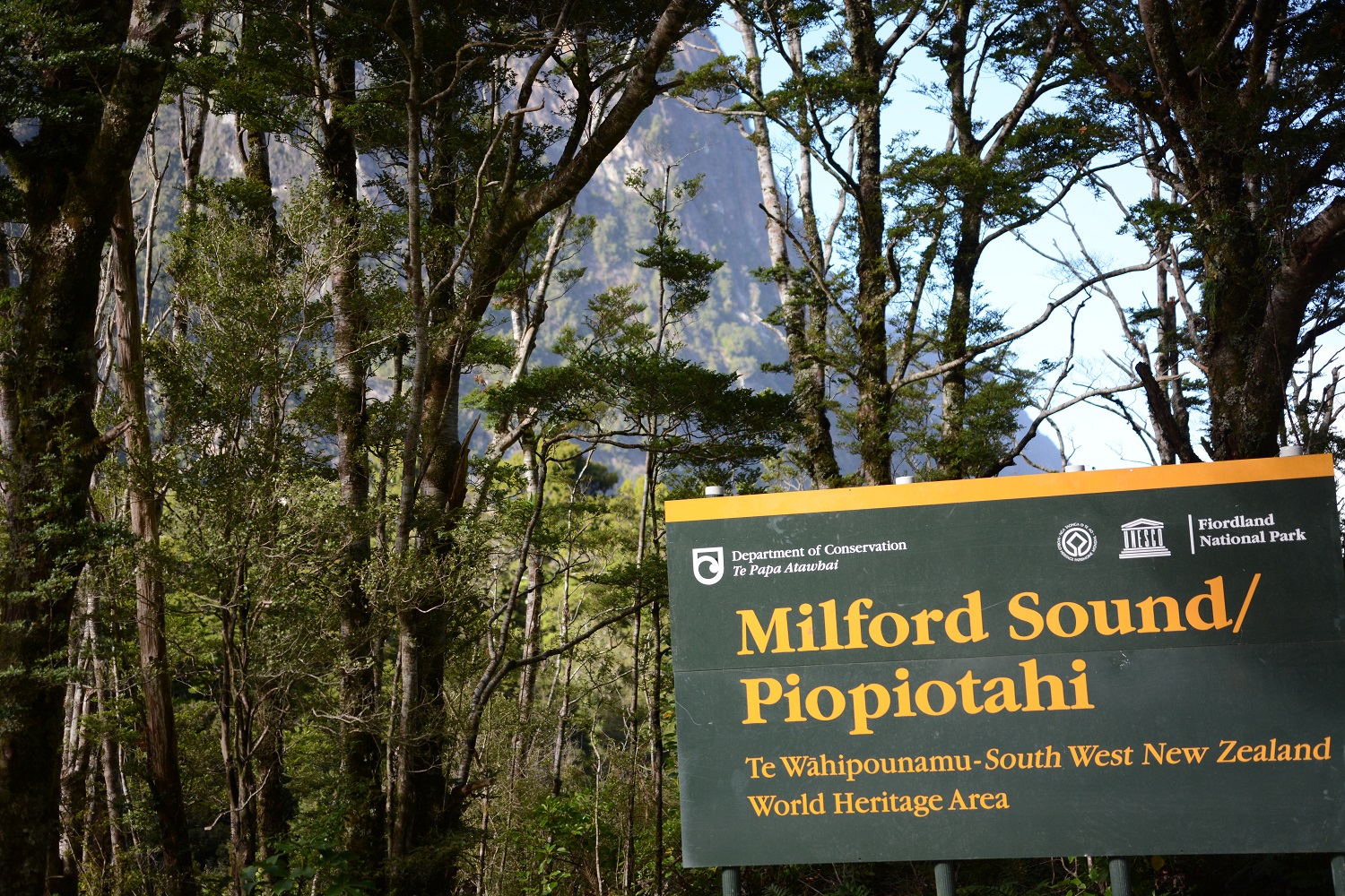 Route vers Milford Sound