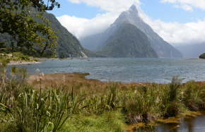 Mitre Milford Sound