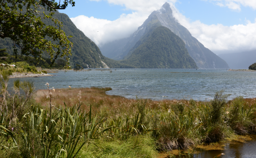 Mitre Milford Sound