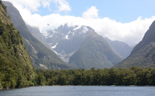 Vue sur Milford Sound