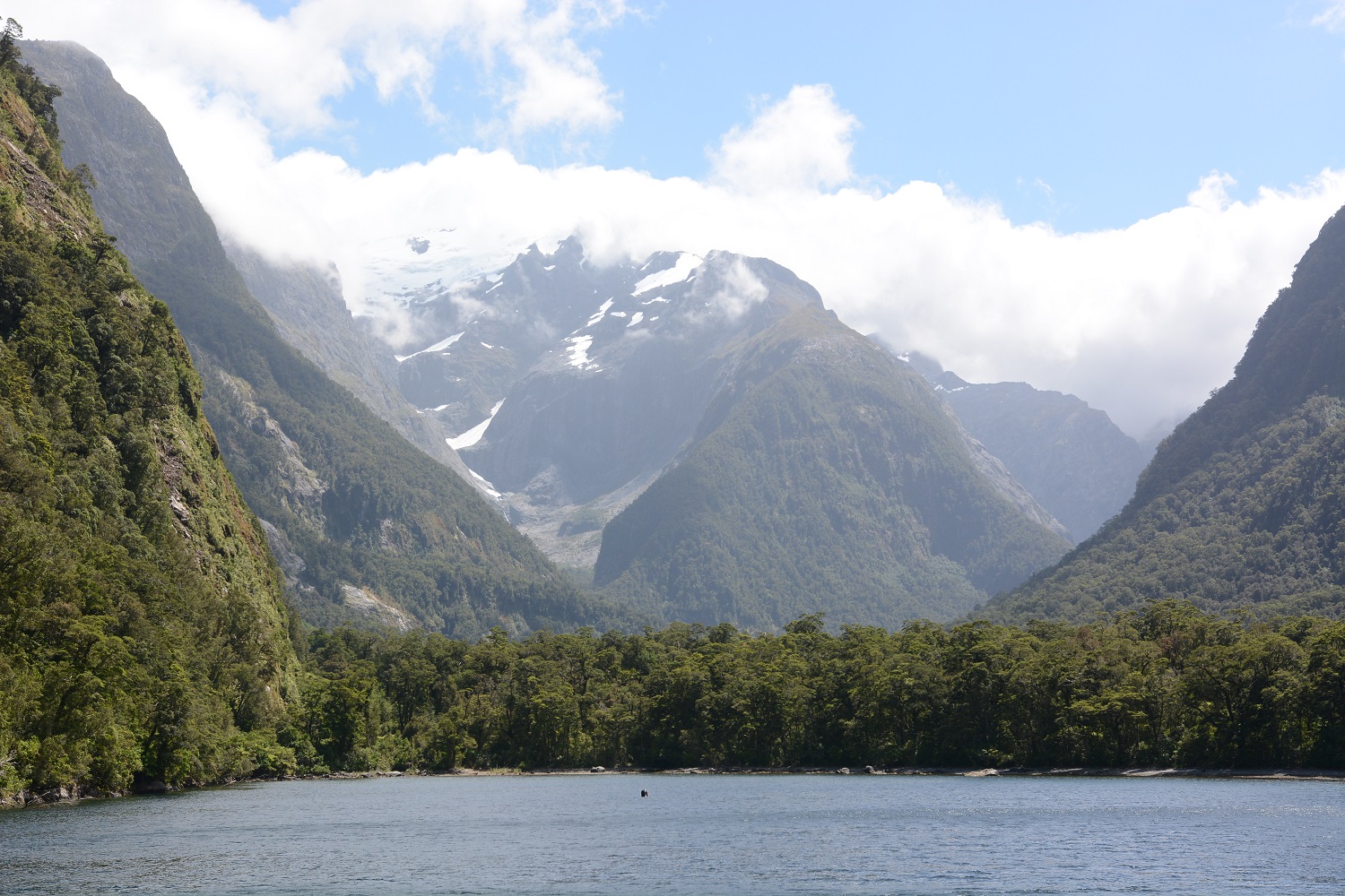 Vue sur Milford Sound